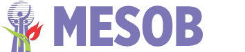 MESOB